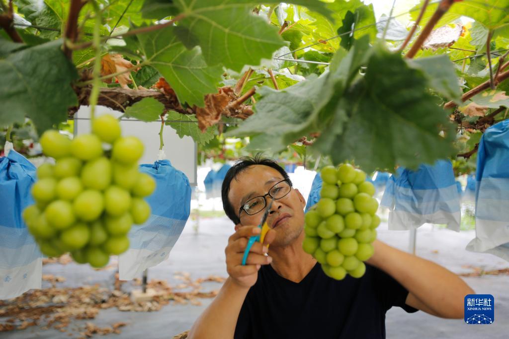 九洲娱乐平台